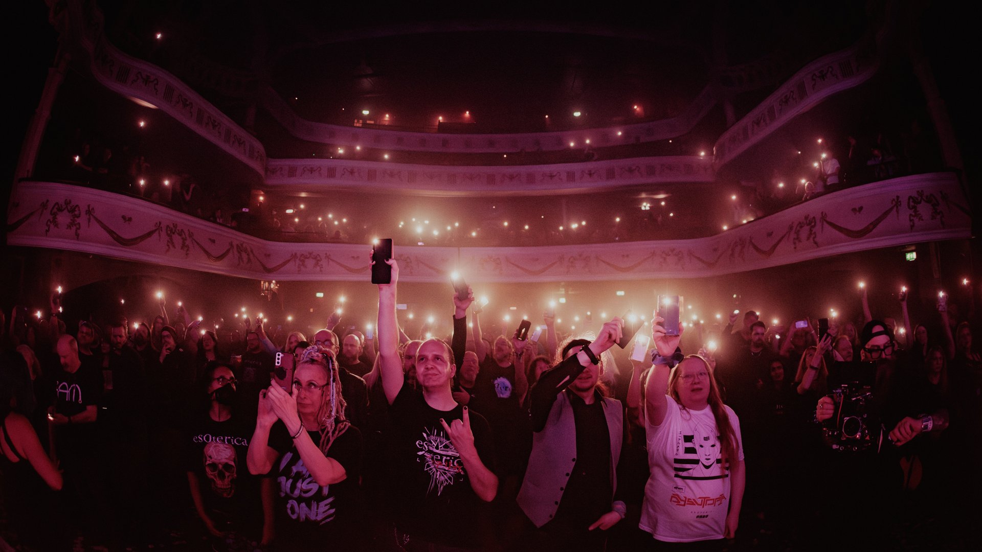 Live music crowd at an event